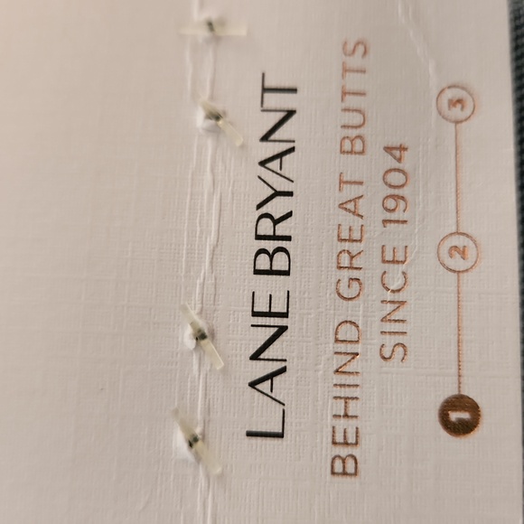 Lane Bryant Distressed Blue Cropped Flower Embroidered Detail Denim Sz 20 - Picture 10 of 16